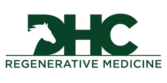 Dark Horse Consulting